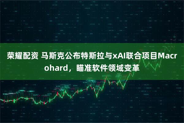 荣耀配资 马斯克公布特斯拉与xAI联合项目Macrohard，瞄准软件领域变革