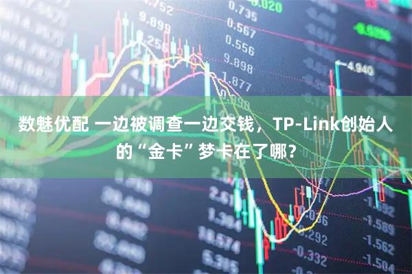 数魅优配 一边被调查一边交钱，TP-Link创始人的“金卡”梦卡在了哪？