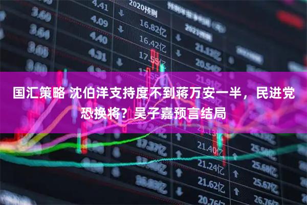 国汇策略 沈伯洋支持度不到蒋万安一半，民进党恐换将？吴子嘉预言结局