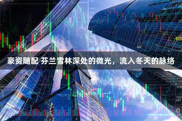 豪资随配 芬兰雪林深处的微光，流入冬天的脉络