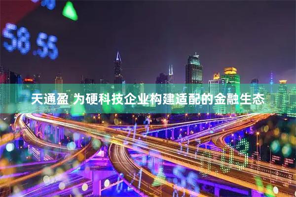 天通盈 为硬科技企业构建适配的金融生态