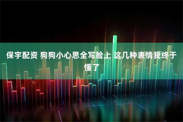 保宇配资 狗狗小心思全写脸上 这几种表情我终于懂了