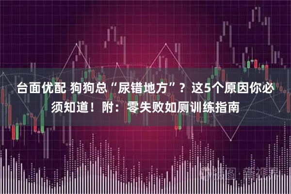 台面优配 狗狗总“尿错地方”？这5个原因你必须知道！附：零失败如厕训练指南