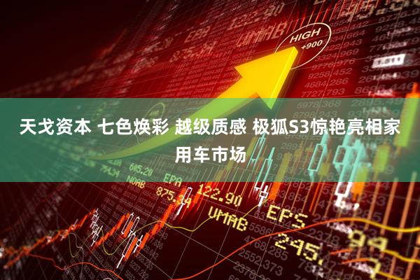 天戈资本 七色焕彩 越级质感 极狐S3惊艳亮相家用车市场