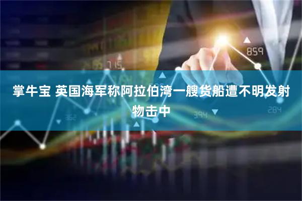 掌牛宝 英国海军称阿拉伯湾一艘货船遭不明发射物击中