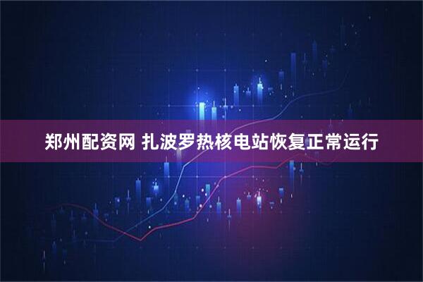 郑州配资网 扎波罗热核电站恢复正常运行