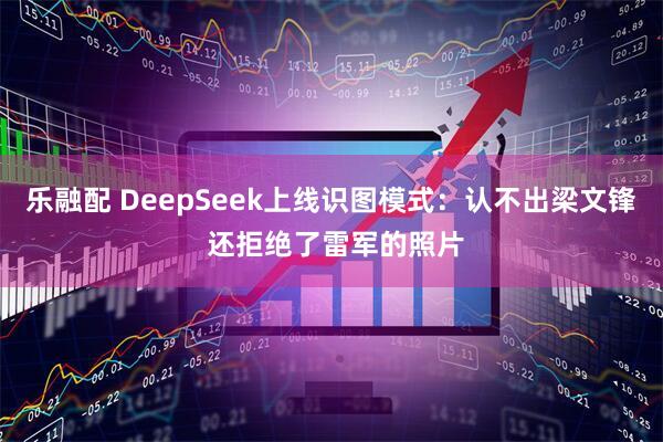 乐融配 DeepSeek上线识图模式：认不出梁文锋 还拒绝了雷军的照片