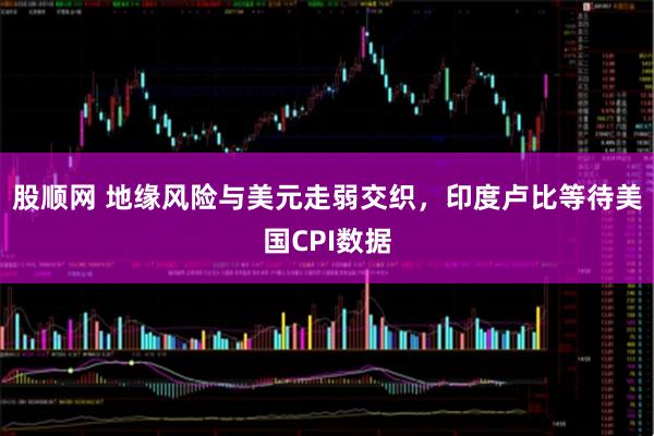 股顺网 地缘风险与美元走弱交织，印度卢比等待美国CPI数据